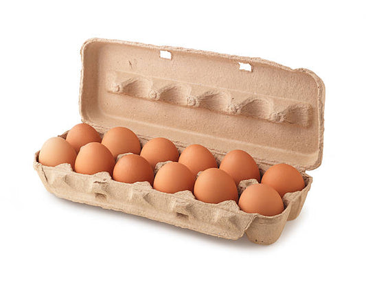 Oeufs carton (12)